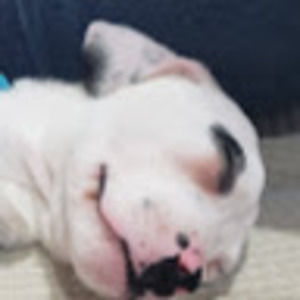 Meet your Posher, Kristen